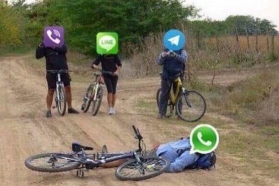 Daniela Castro / Glamorama