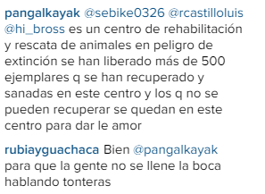 Javiera Acevedo | Instagram