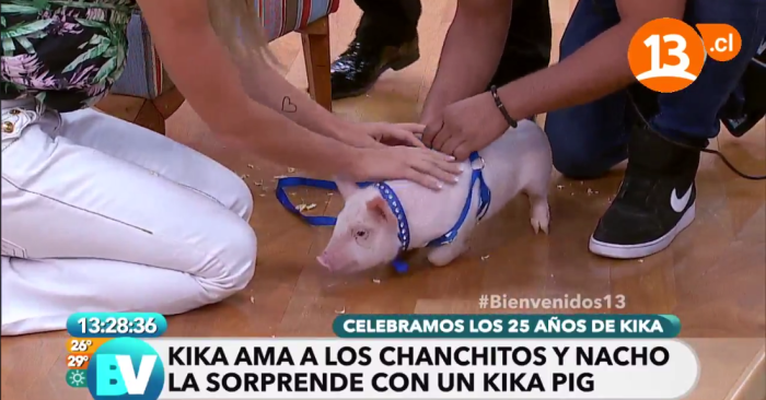 El exótico y tierno regalo que recibió Kika Silva en su cumpleaños - Imagen 3