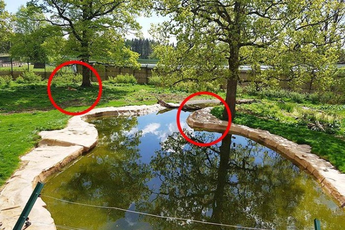 Blair Drummond Safari Park | Facebook