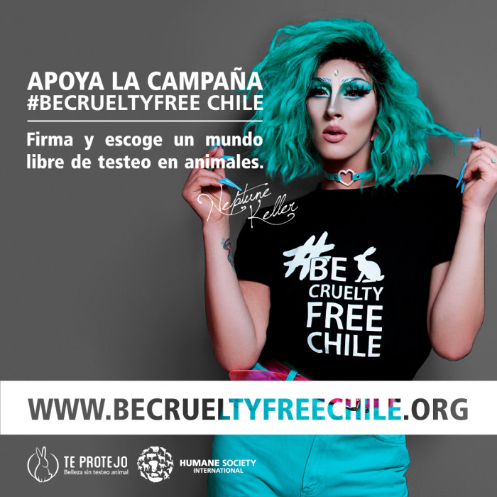 Be Cruelty Free Chile