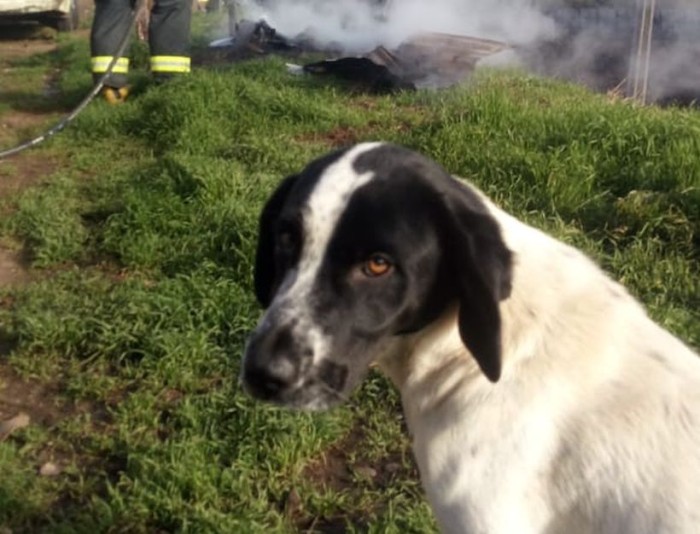 Cuerpo Bomberos Cañete