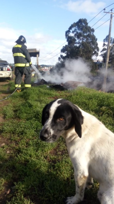 Cuerpo Bomberos Cañete
