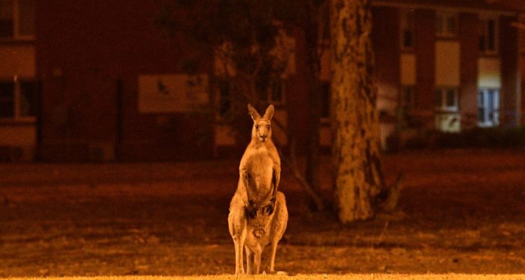 Los Estremecedores Registros Del Violento Temporal En Brasil Van