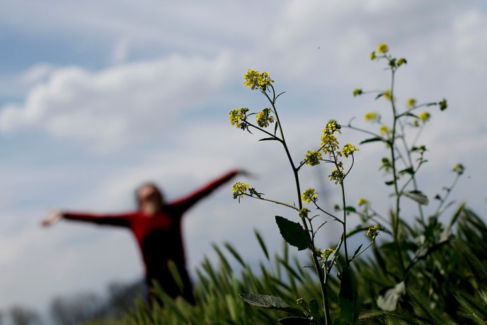 Fría primavera: Experto de Accuweather afirma que el calor no llegará hasta noviembre