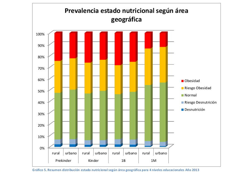 Informe Mapa Nutricional Junaeb 2013