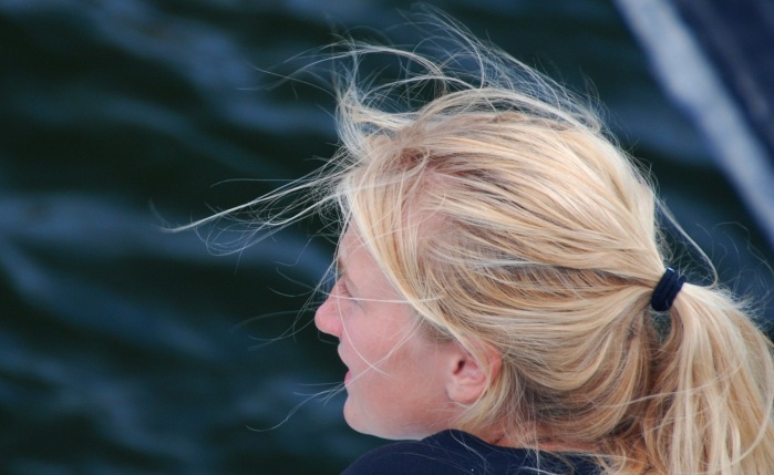 Let Ideas Compete (cc) | Flickr