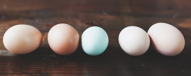 the little red house (cc) | Flickr