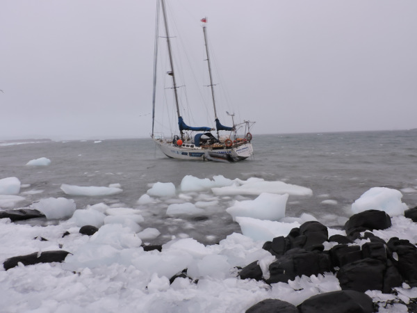 Prensa Antártica