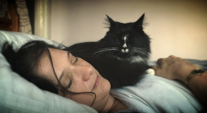 TempusVolat (cc) | Flickr