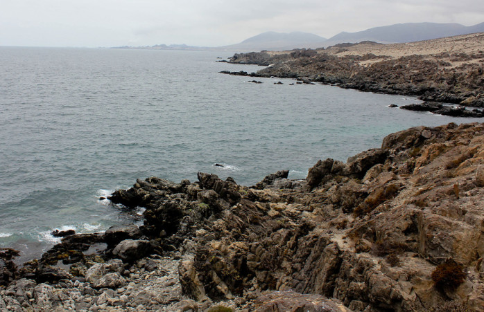 Endesa paraliza construcción de polémica termoeléctrica en el norte del país
