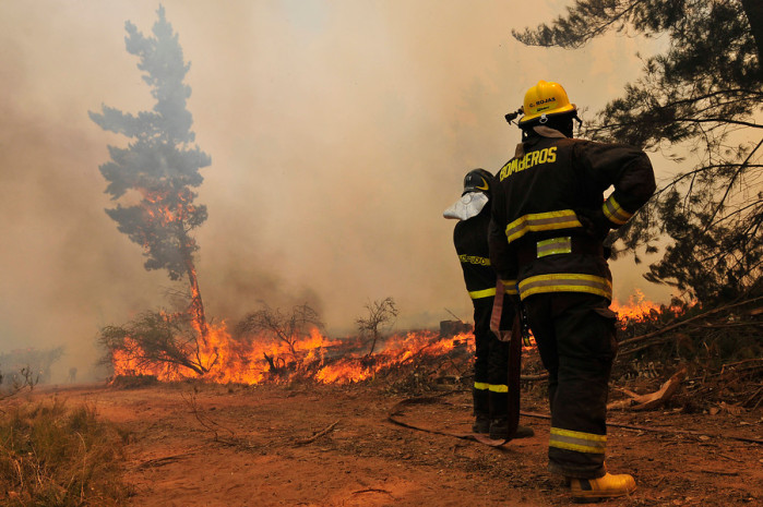 Dos bomberos murieron mientras se dirigían a combatir incendio en Collipulli