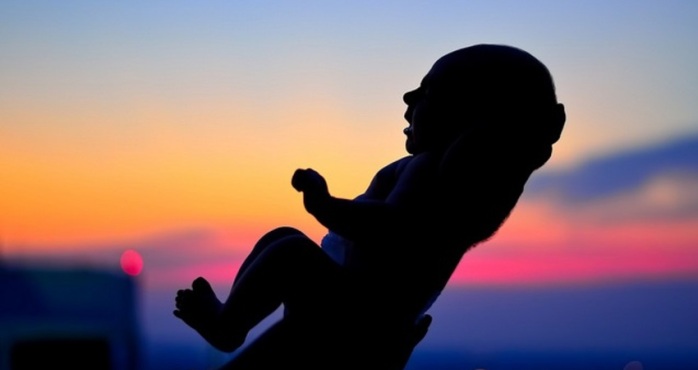 Éxito en Youtube: La cómica expresión de la 