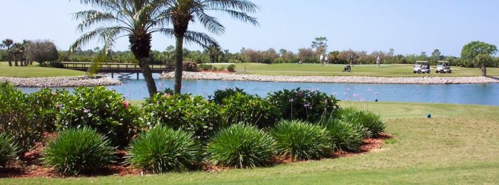 La gigantesca “bestia” que pillaron reposando en pleno campo de golf “gringo”
