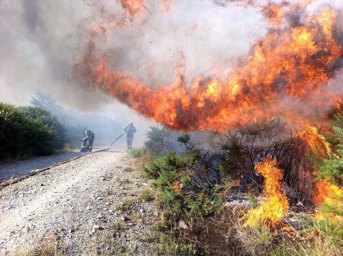 Declaran Alerta Roja en Ancud por incedios forestales