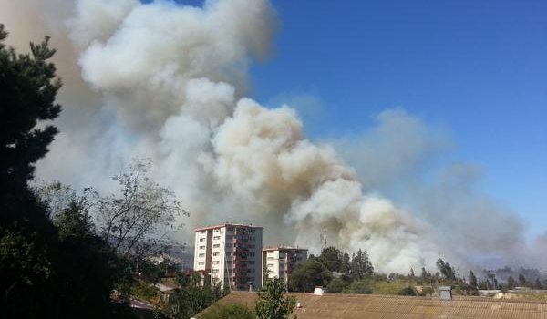 Se reactiva incendio en Jardín Botánico de Viña del Mar y declaran Alerta Roja