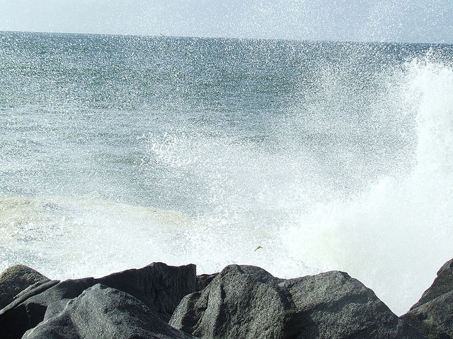 Esfema (cc) | Flickr