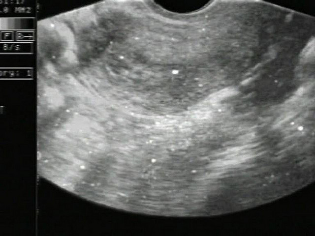 Ars Electronica (cc) | Flickr