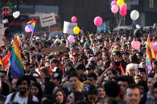 Con amplia convocatoria se desarrolló Marcha por la Igualdad en Santiago