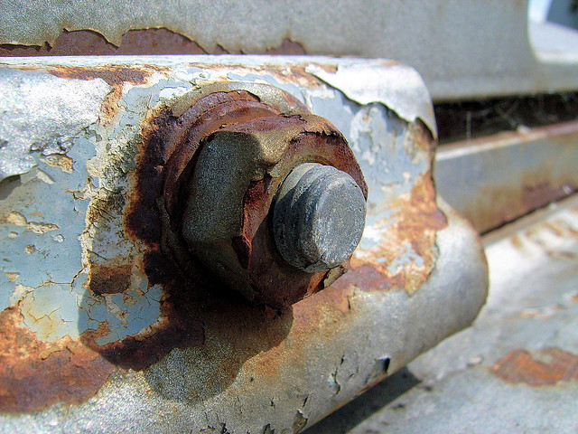 Daniel Rocal (cc) | Flickr