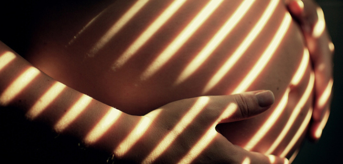 Julia Vial se suma a 