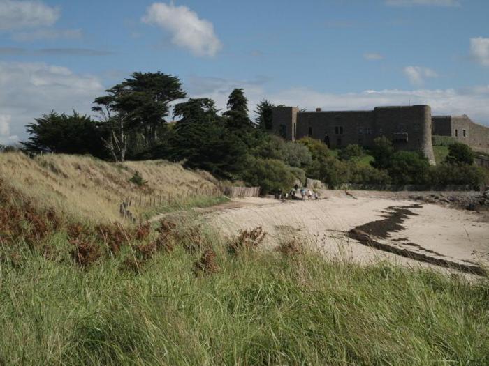 El trágico final de una pareja que tenía sexo en público: Fueron hallados en una fosa