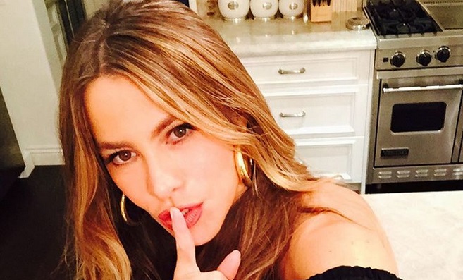 Esta polémica foto dividió a los seguidores de Sofía Vergara