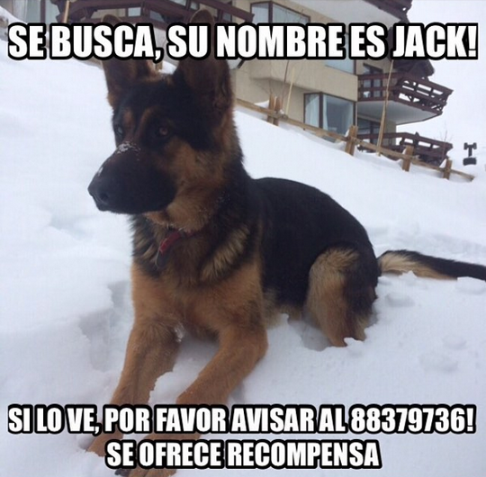 Matías Assler | Instagram