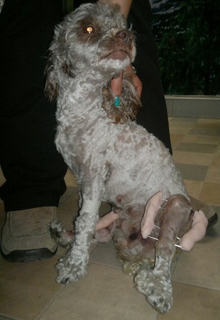 Sephora Arica | Facebook