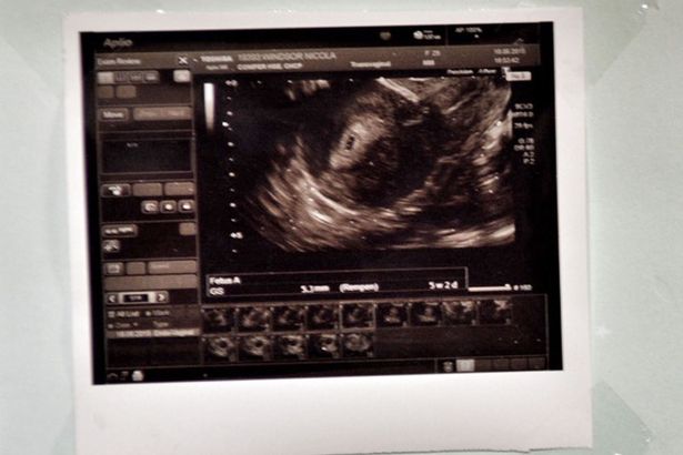 Una de las imágenes enviadas por la clínica