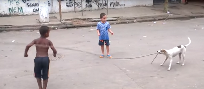 Insólito: Habilidoso perro brasileño ayuda a niños a saltar la cuerda