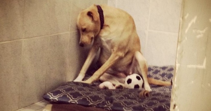 La historia tras la foto de 