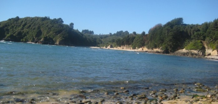 Muere joven que sobrevivió dos días en una caverna submarina en Talcahuano