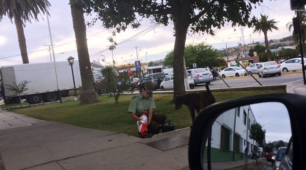 La historia tras la fotografía de carabinera que alimenta a perrito abandonado en Ovalle