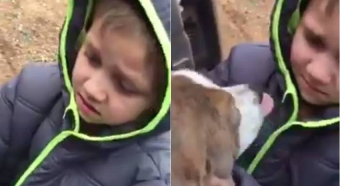 Emotivo reencuentro de un niño y su perro emociona en redes sociales