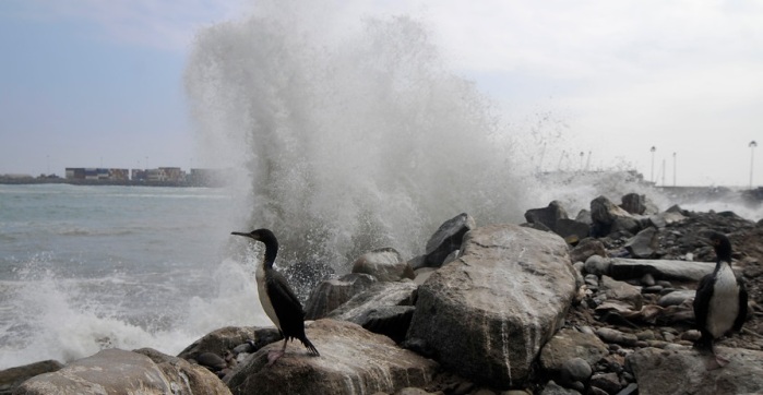 El cómico chascarro de periodista de TVN: Fue alcanzado por marejada en pleno despacho