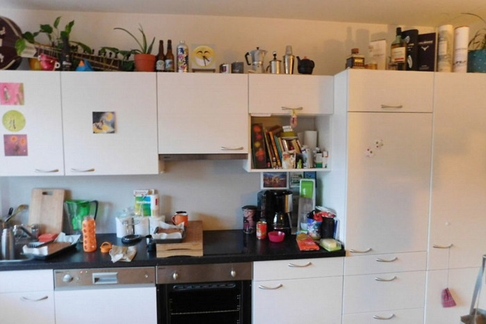 ¿Puedes encontrar al gato en la foto?