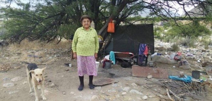 La abuelita de 80 años que vive bajo un árbol en Monte Patria tras terremoto