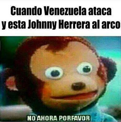 12899971_537088019786310_441638967_n