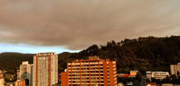 20 incendios forestales simultáneos: decretan alertas en Concepción, Bío Bío y Ñuble