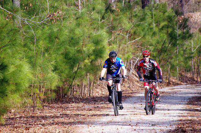 Virginia State Parks (cc) | Flickr