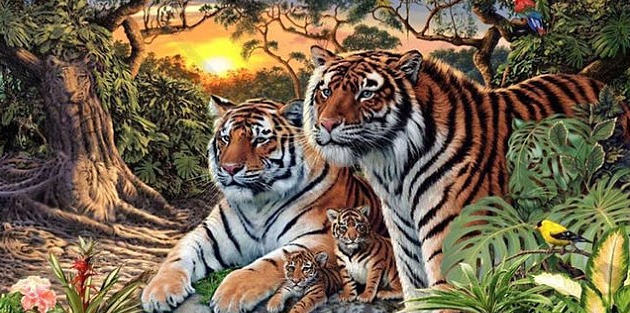 ¿Cuántos tigres ves en esta imagen?: El nuevo desafió que se tomó la red