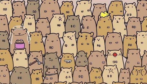 ¿Eres capaz de encontrar la papa entre estos hámsters? Nuevo desafío invade Facebook