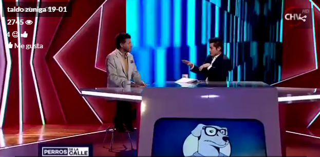 Rechazan recurso de protección contra programa 