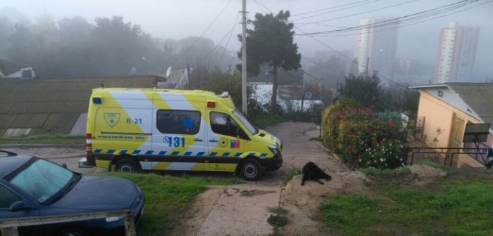 Madre e hijo mueren electrocutados en Viña del Mar: habrían intentado salvar a su perro