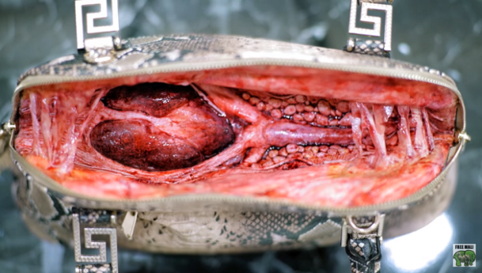 Cruda campaña de concientización sobre el uso de cuero horroriza a consumidores