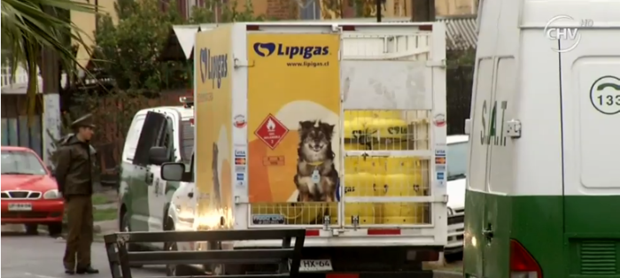 Niño de dos años muere tras ser atropellado por su madre