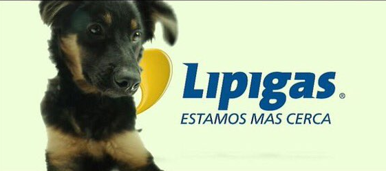 Lipigas