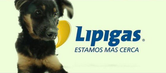 Lipigas