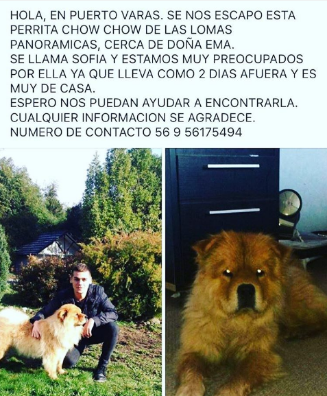 Steffi Méndez | Instagram